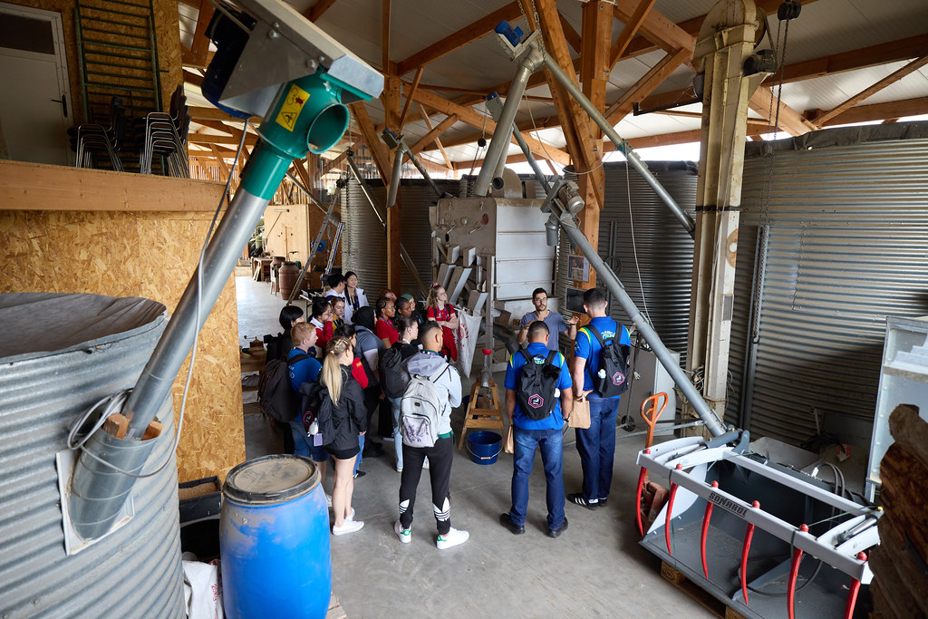 De la terre au pain — visite sensorielle de la ferme