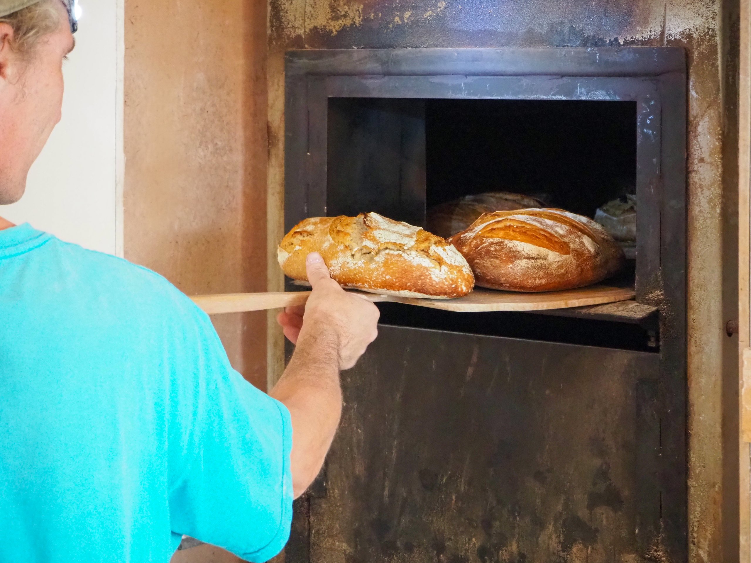 Stage 1 journée – Faire son pain au levain